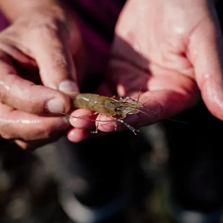 La Tourelle Normande Maison De Charme Proche De La * Langrune-sur-Mer