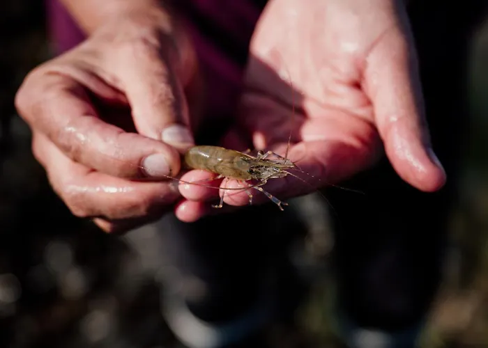 La Tourelle Normande Maison De Charme Proche De La * Langrune-sur-Mer